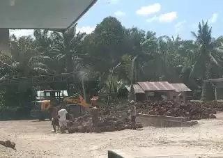 Petani Sawit Swadaya  Keluhkan Pupuk Mahal, Ini Anjuran Pemkab Pelalawan