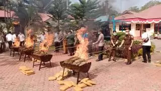 Polres Langkat Musnahkan 115 Ganja dan 20 Kg Sabu