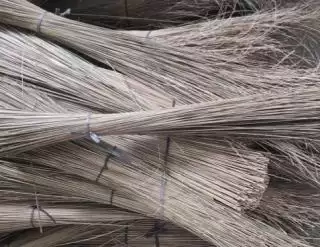 Lidi Sawit Bisa Jadi Sumber 'Cuan' Buat Petani Kelapa Sawit