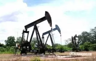 Membobol Sumbatan Minyak Bumi Pakai Minyak Sawit