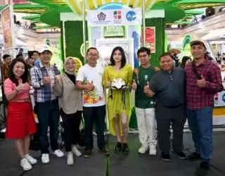 Biomaterial Satu Dari Sekian Turunan Sawit Produk Hilir di Masa Depan
