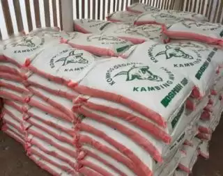 Pemprov Bengkulu Bangun Sentral Pupuk Organik di Enam Kabupaten