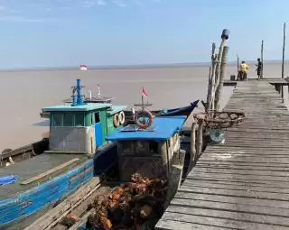Melongok 'Desa Sawit' di Riau Hasil Panen Diangkut dan Diolah di Kepri