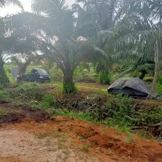 DPD Apkasindo Bengkalis Support Siexpo 2023, Ini Harapannya