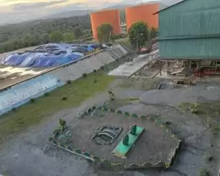 Evolusi Terbaru Industri Sawit Indonesia: Sumbangsih Penyediaan Energi Global
