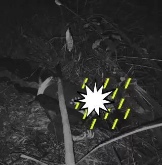 Breaking News: Duri Gempar! Siswi SMP Ditemukan Meninggal di Simpang Jalan Lingkar