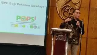 Tantangan Jadi Hambatan Petani Peroleh STDB dan ISPO