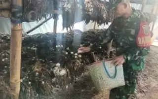 Cerita Sertu Een Setiyono, Masyarakat dan Limbah Sawit Sukses Hasilkan Fulus