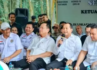 Batu Bara Dapat Jatah 500 Hektar PSR 2023, Ini Upaya Tingkatkan Produksi