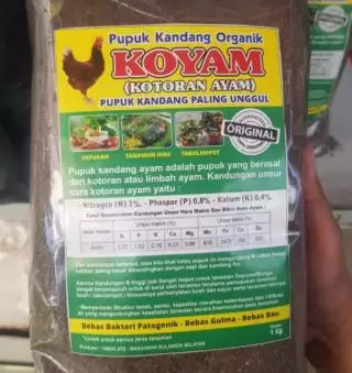 Koyam Paling Bagus Buat Sawit Dibanding Pupuk Kandang Lain, Buktikan!