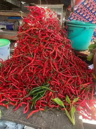 Antisipasi Kenaikan Harga Beras, Pemprov Sumut Lakukan Intervensi Produksi, Distribusi dan Konsumsi