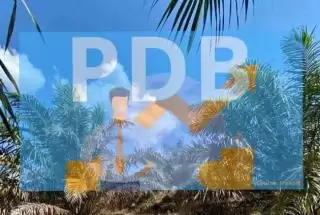 Evolusi Terbaru Industri Sawit Indonesia, Andil Besar Peningkatan PDB Nasional
