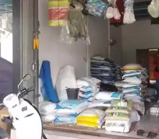 Pupuk Langka Momok Bagi Petani Sawit di Seluma