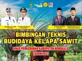 Disbun Bengkalis Taja Bimtek, M Azmir: Tingkatkan Kapasitas Pekebun Sawit 'Bermasa'