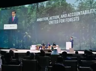 Presiden RI Jabarkan Langkah Indonesia Capai Net Carbon Sink dan NZE 2060