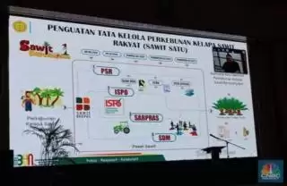 Soal Peremajaan Sawit, Pejabat Kementan RI Dapat Peringatan Keras