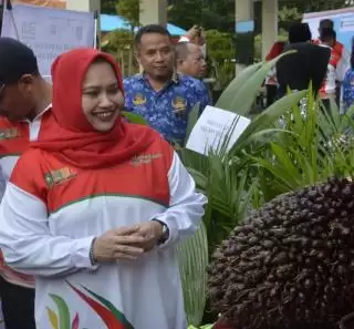 Harga TBS  Sawit Mitra Plasma Naik Dibeli Rp2.549,03 Per Kilogram di Riau