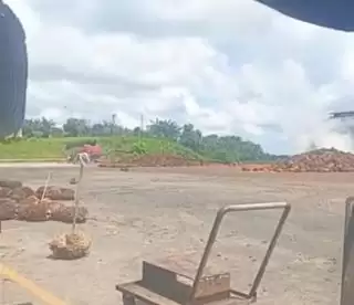 Beruntun Harga Minyak Sawit Mentah Naik di Bursa Malaysia