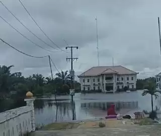 Banjir Parah Melanda, Pekebun Kelapa Sawit Nelangsa di Sebelah Barat Duri