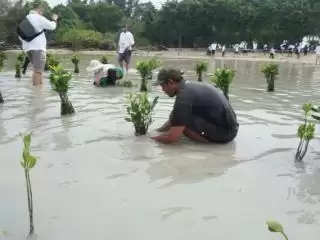 TreeshBash: Kolaborasi Terbaik Mewujudkan Lingkungan Berkelanjutan