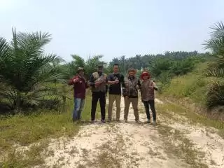 Kebun PSR Bakal Diajukan untuk Terima Bantuan Pupuk dari BPDPKS