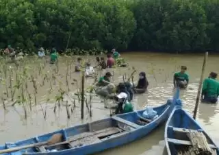 Rilis Laporan 2023, Lindungi Hutan Ungkap Kontribusi Bagi Sosial dan Lingkungan
