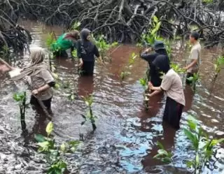 Peran dan Kontribusi Lindungi Hutan Untuk Capai SDGs