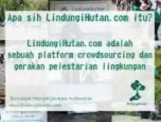 Catat Syaratnya, Startup LindungiHutan Buka Lowongan Kerja Freelancer Lead Tour Specialist