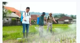 Lebih Maju Untuk Pertanian Berkelanjutan, Eratani Inisiasi Penggunaan Pupuk Hayati