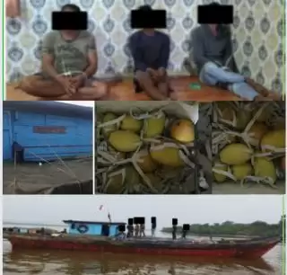 Bea Cukai Bengkalis Amankan 3 ABK Lantaran Seludupkan Mangga Ilegal Dari Malaysia