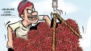 Dua Pria di Pekanbaru Tertangkap Curi Sawit di Kebun Warga