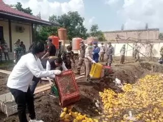 Kantor Bea dan Cukai Type Madya Pabean C Bengkalis Musnahkan Mangga Ilegal dari Malaysia