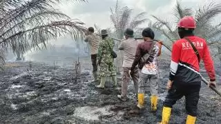 Dua Hari Diguyur Hujan, Karhutla Padam