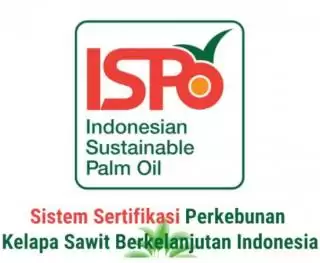 Bengkalis Tak Masuk, Ini 24 Kelembagaan Pekebun Sawit Sudah Kantongi ISPO di Riau