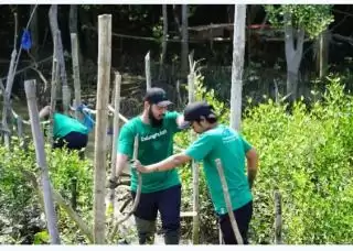 Pesan Penting CEO LindungiHutan di Momen Hari Lingkungan Hidup Sedunia