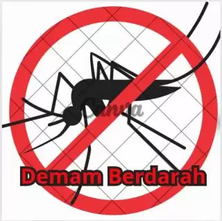Dinkes Kepulauan Meranti Sosialisasi 3M Plus Cegah Kasus DBD Meningkat