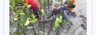 Keberlanjutan LindungiHutan di Tambakrejo