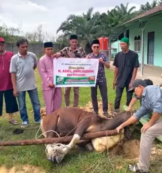 PT Permata Citra Rangau Berbagi Sapi dan Kambing Kurban ke Mushala dan Masjid