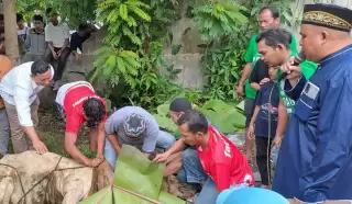 Masjid Al-Ikhlashiyah Gelar Kurban dan Ajak Masyarakat Lepaskan Hawa Kebinatangan