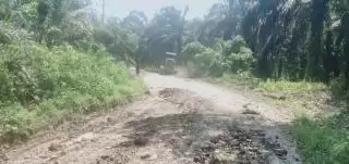 UPT VI Dinas PUPR-PKPP Riau Perbaiki Ruas Jalan Rokan Pendalian-Dusun Batas
