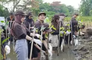 PT Pigeon Indonesia Tanam 1.000 Pohon Mangrove di Pantai Indah Kapuk Jakarta