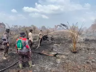 Karhutla di Rohil Meluas, Sudah 37 Hektar Lahan Hangus
