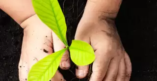 Tentang Capaian LindungiHutan Lestarikan Lingkungan Sepanjang 2023