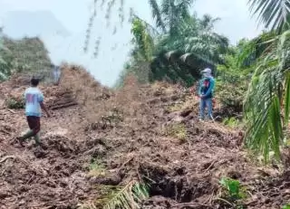 2024, Sinarmas Group Ajukan PSR Seluas 2.657,29 Hektar di Riau