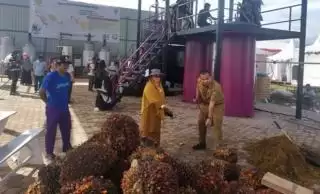 Bila KUD Kelola Pabrik Migor Mesti Dongkrak Kesejahteraan Petani Sawit