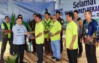 Terima Bantuan Ribuan Bibit Sawit Unggul 32 Poktan Sumringah di Sekadau
