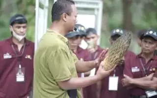 Sasar Pekebun Sawit, Kerja Sama LPP Agro, BPDPKS dan Kementan Taja Pelatihan