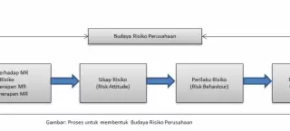 Peran Penting Pemerintah Bangun Budaya Sadar Risiko di Indonesia