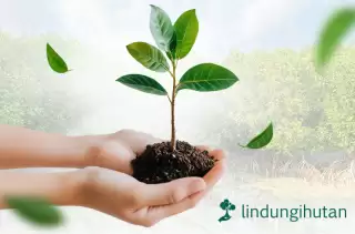 Bank BTN Gandeng LindungiHutan Pada Program Loyalty Poin Peduli Lingkungan