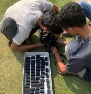 Biobriket dari Pelepah Sawit Solusi Lingkungan dan Sumber Energi Alternatif